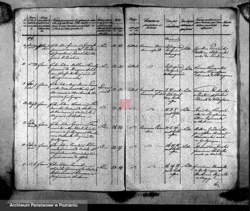 Obraz 3 z jednostki "Liber copulatorum"