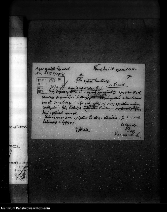 Obraz 11 z jednostki "Zalesienie nieużytków w powiecie żnińskim"