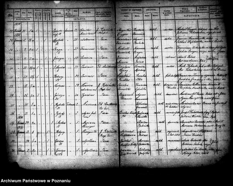 Obraz 7 z jednostki "Księga urodzeń"