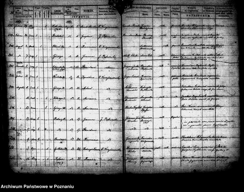 Obraz 19 z jednostki "Księga urodzeń"