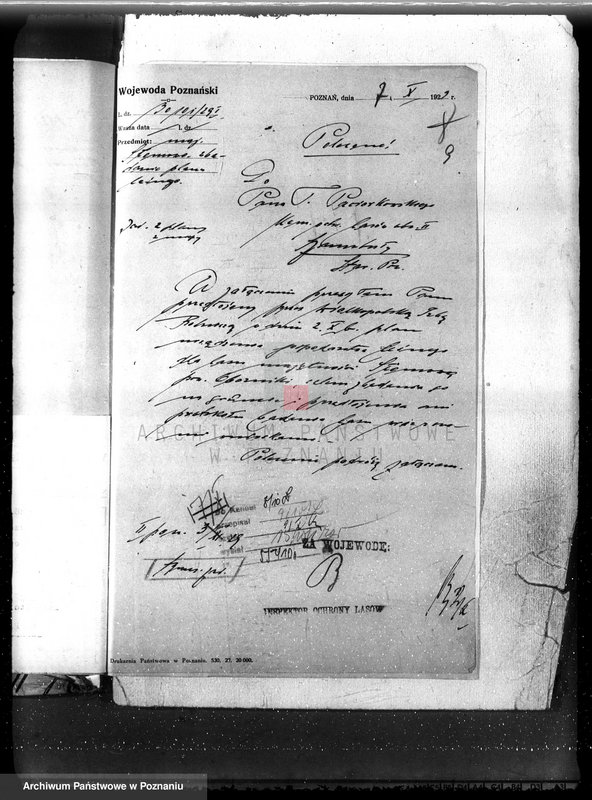 Obraz 13 z jednostki "Las majętność Słomowo-Pacholewo powiat obornicki"