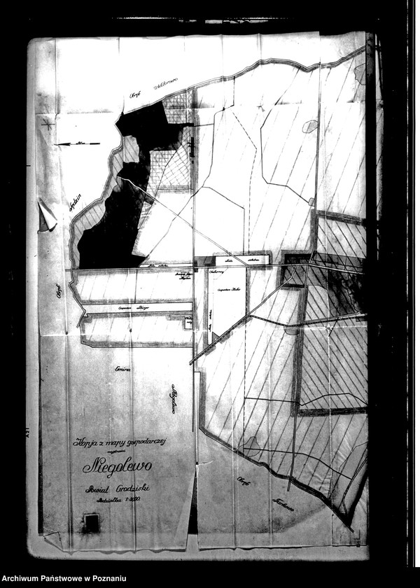 Obraz 6 z jednostki "Majątek Niegolewo powiatu nowotomyskiego wyłączenie z art. 4 i 5 ustawy o wykonaniu reformy rolnej - Stanisław Niegolewski"