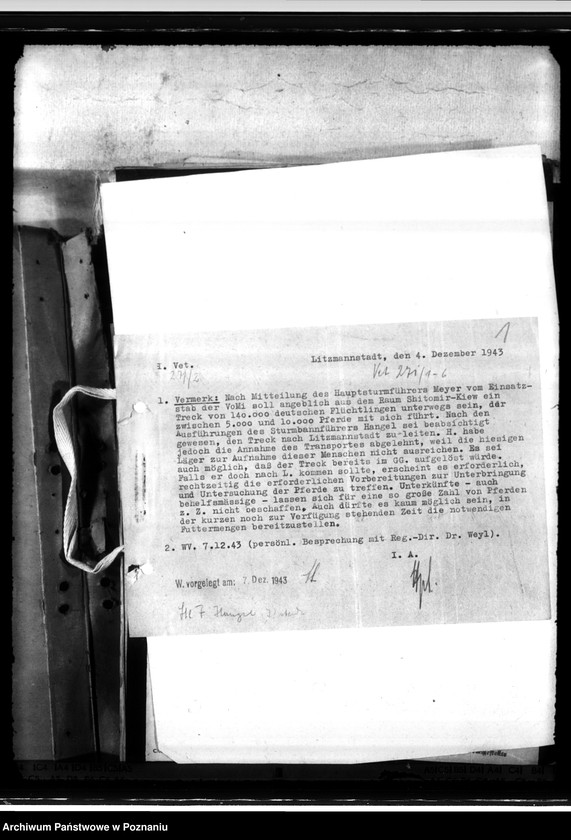 Obraz 5 z jednostki "Einfuhr von Tieren aus den besetzten Ostgebieten - auch der Schwarzmeerdeutschen"