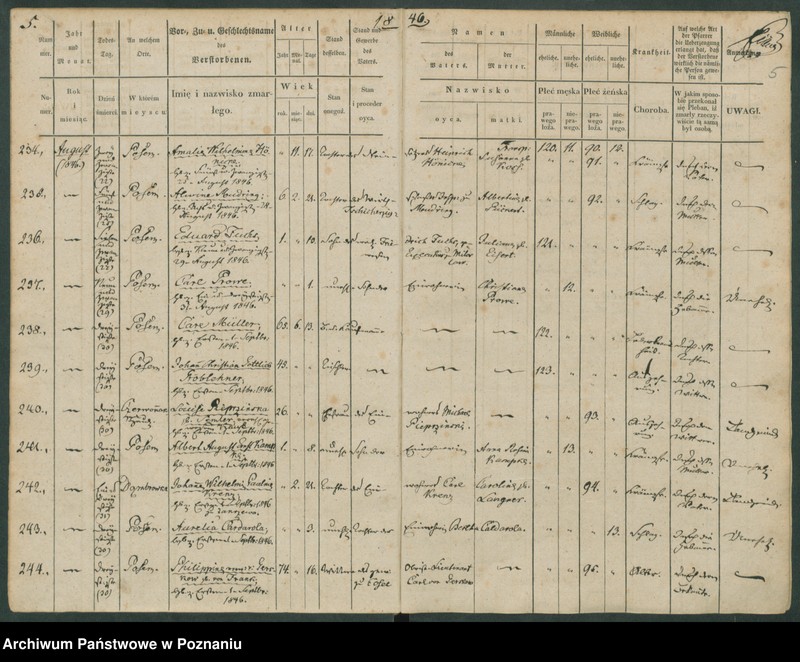 Obraz 6 z jednostki "Sterbenbuch"