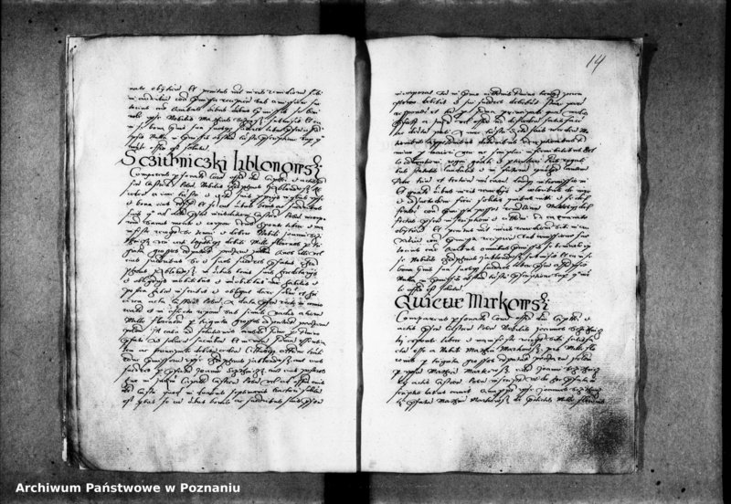 Obraz 19 z jednostki "Inscriptiones, relationes [inducta]"