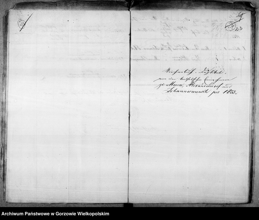 image.from.unit.number "Duplikate der Kirchenbücher über die katholischen Einwohner von: Morrn (Murzynowo), Alexandersdorf (Gościnowo), Johanneswunsch (Dobrojewo)"