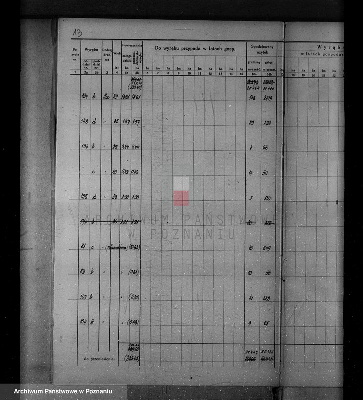 Obraz 19 z jednostki "/Nadzór nad gospodarką leśną w majątku Krucz-Goraj w powiecie czarnkowskim Nadleśnictwo Goraj/"