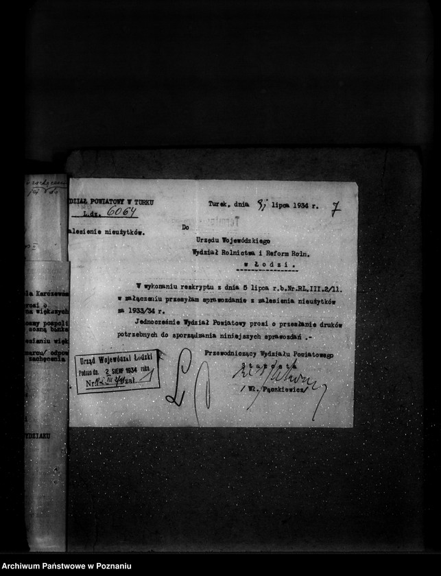 Obraz 11 z jednostki "Zalesienie nieużytków w powiecie tureckim"