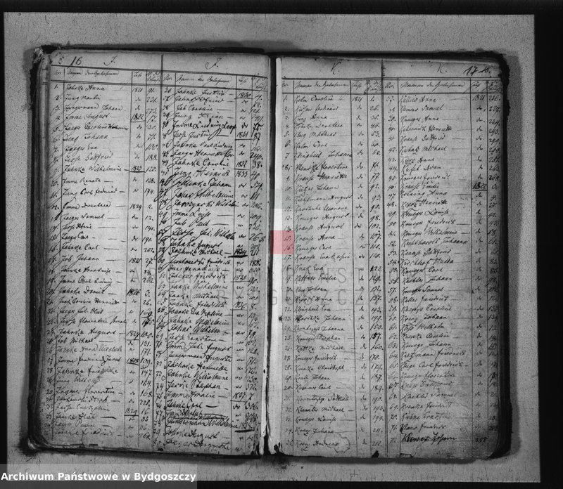 Obraz 11 z jednostki "Sumariusz urodzeń"