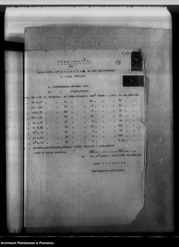 Obraz 17 z jednostki "Majętność leśna Górzno-Bojanice powiat leszczyński"