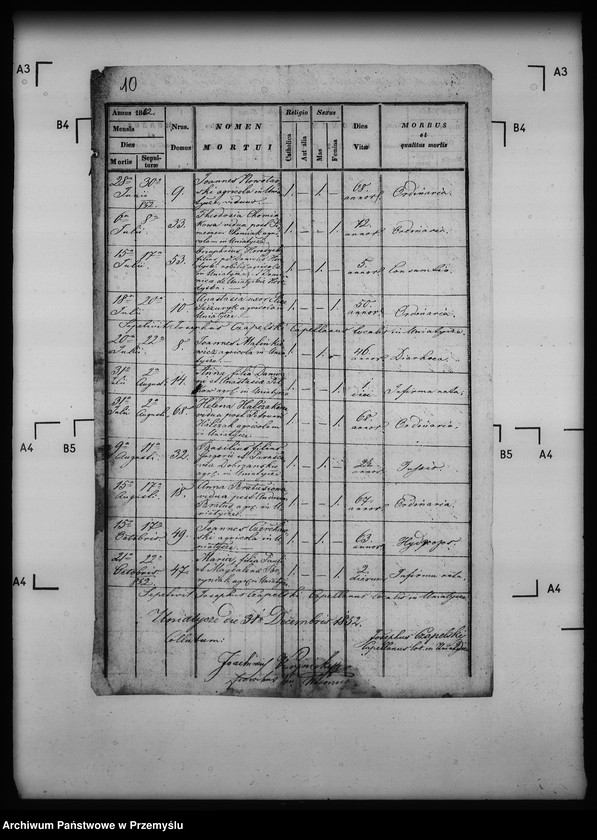 Obraz 14 z jednostki "[Kopie ksiąg metrykalnych parafii Uniatycze (dekanat Drohobycz)]"