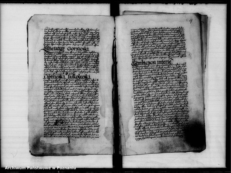 Obraz 7 z jednostki "Inscriptiones, relationes [inducta]"