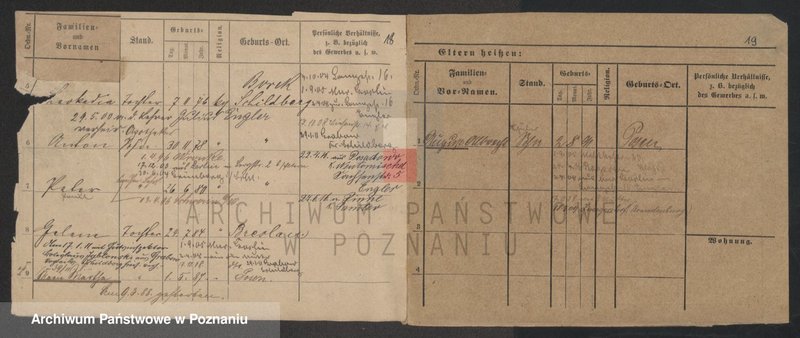 Obraz 20 z jednostki "Bentz - Behrerd"