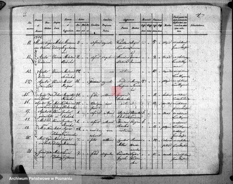 image.from.unit.number "Duplicat natorum, copulatorum, mortuorum"