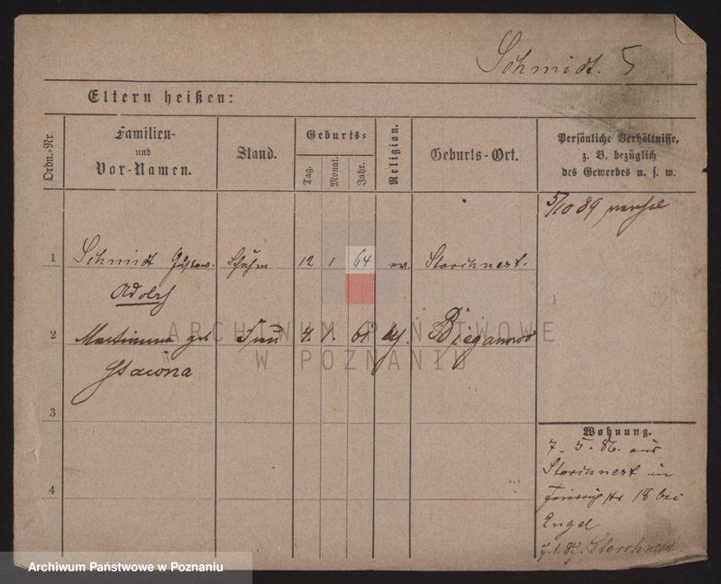 Obraz 13 z jednostki "Szmidt (żonaci)"