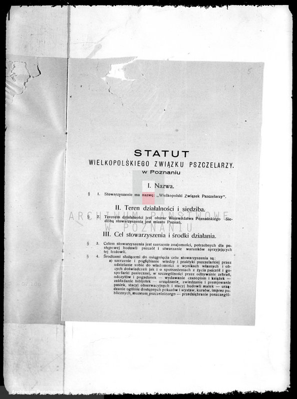 Obraz 9 z jednostki "/Wielkopolski Związek Pszczelarzy/"