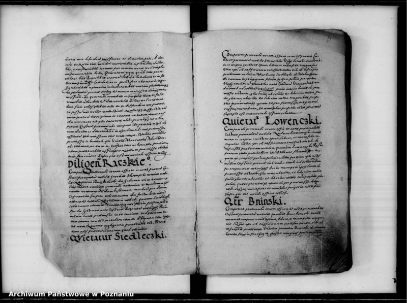 Obraz 7 z jednostki "Inscriptiones, relationes [inducta]"