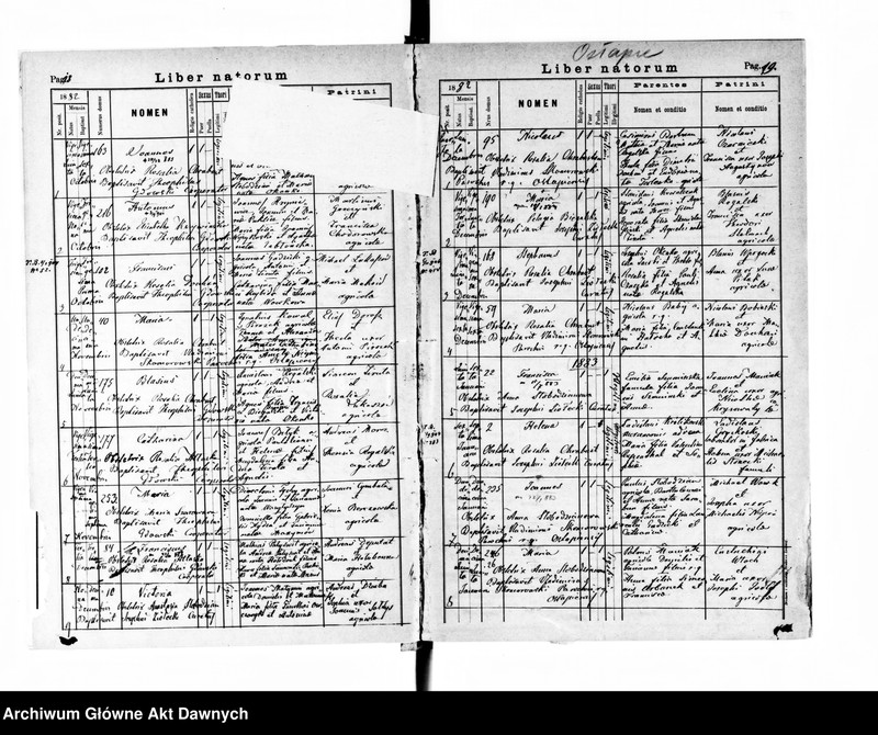 image.from.unit.number "Parafia: Grzymałów. Dekanat: Skałat. Księga metrykalna urodzeń dla wsi Ostapie*."