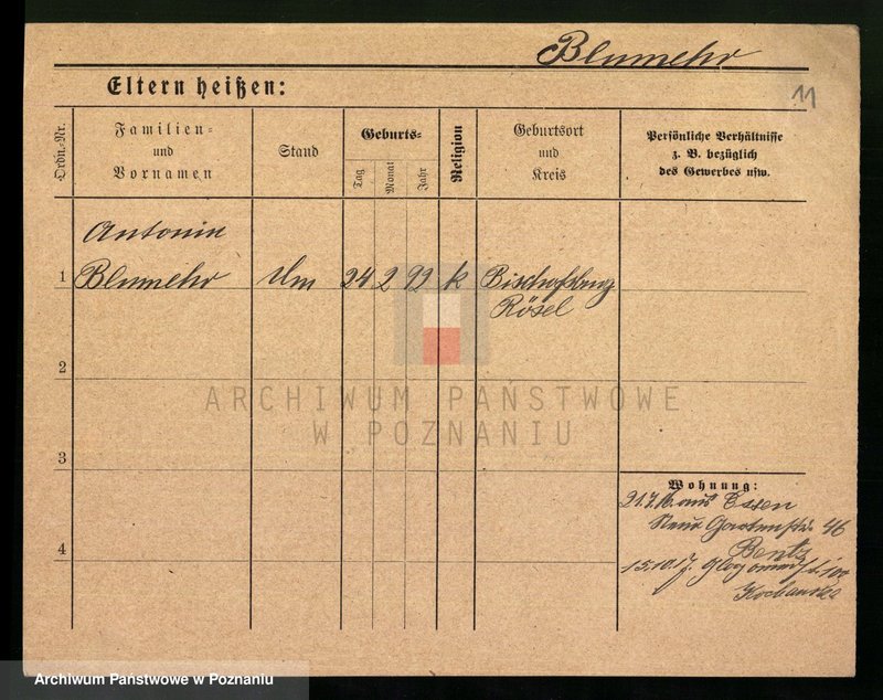 Obraz 13 z jednostki "Blumenau - Boch"