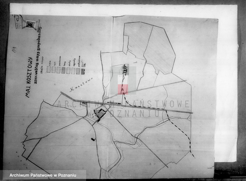 Obraz 19 z jednostki "Majątek Kosztowo powiatu wyrzyskiego wyłączenie z art. 5 ustawy o wykonaniu reformy rolnej"