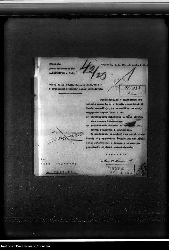 Obraz 5 z jednostki "/Nadzór nad gospodarką w lasach gminy Osuch w powiecie czarnkowskim własność Ewald Draeger"