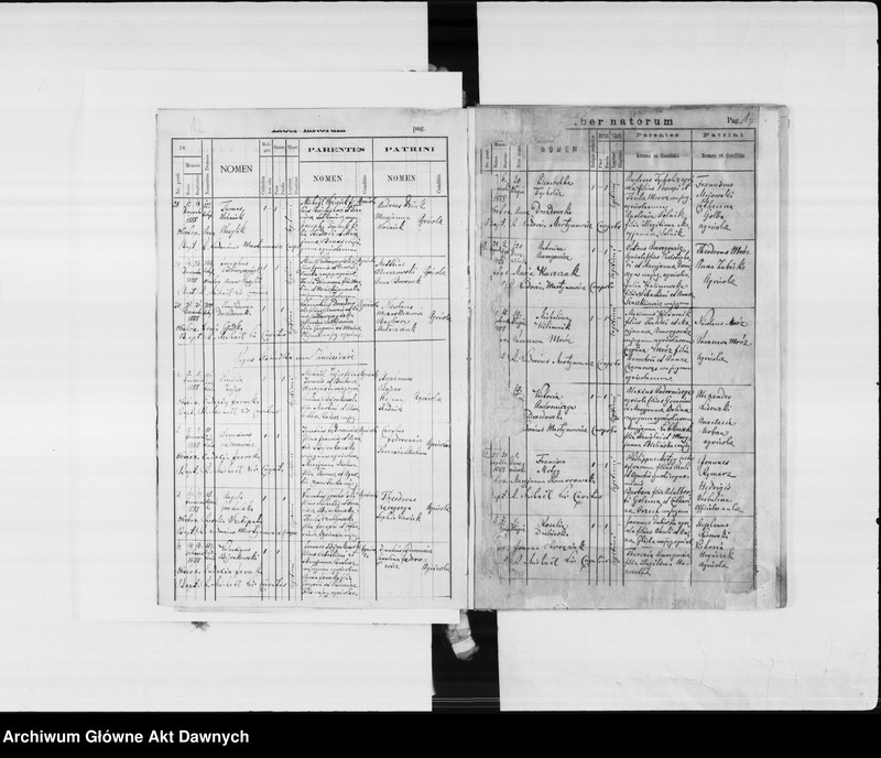 image.from.unit.number "Parafia: Janów Trembowelski. Dekanat: Trembowla. Księga metrykalna urodzeń 1888-1889, 1891, 1893-1902, ślubów 1888-1889, 1891, 1893-1898, 1900-1902 i zgonów 1888-1889, 1891, 1893-1902 dla miasta Janów i wsi: Kobyłowłoki* i Papiernia*, Słobódka i Zniesienie, Dereniówka, Dołhe, Młyniska*, Podhajczyki**, Wybranówka**."