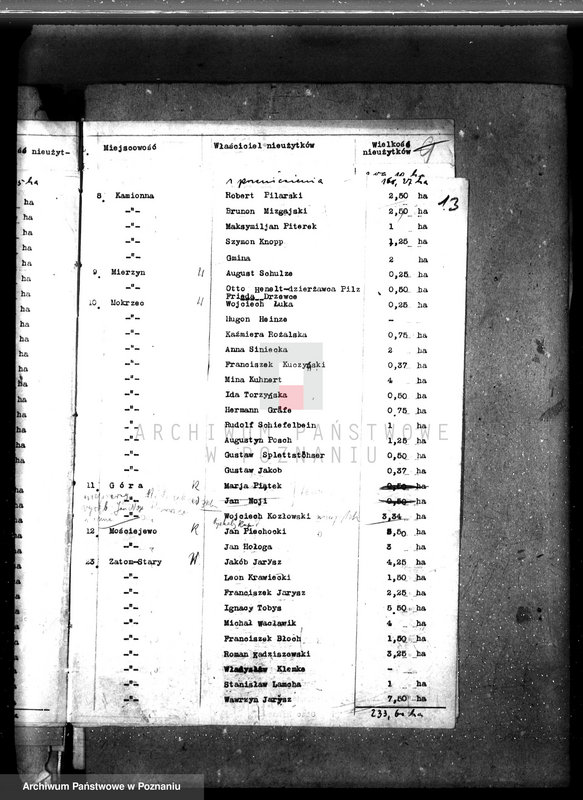 Obraz 17 z jednostki "Zalesienie nieużytków w powiecie międzychodzkim"