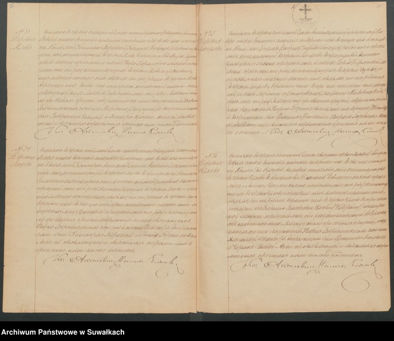 Obraz 9 z jednostki "Duplikat Elenevskago Prichoda s 1874 goda"