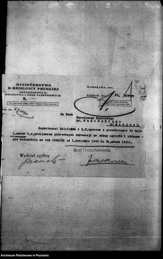 Obraz 5 z jednostki "Budżet Stadnin na rok 1921"