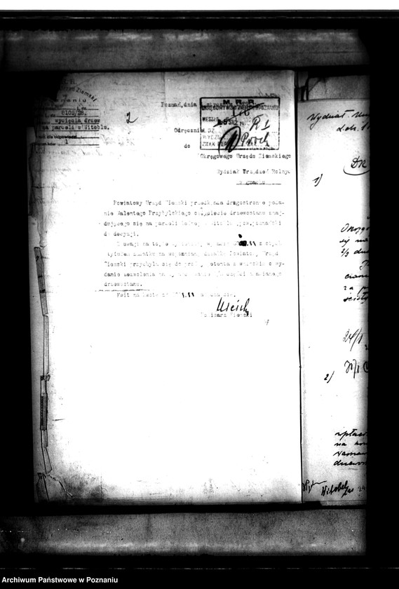 Obraz 6 z jednostki "Parcelacja lasu Witobel XV powiatu poznańskiego Walenty Przybylski"