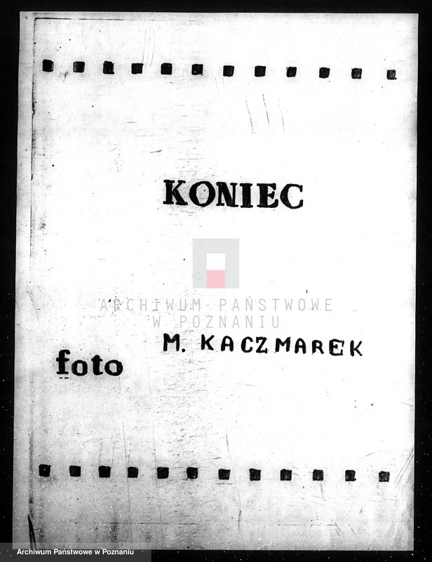 Obraz 14 z jednostki "/Las majątku Wielichowo/"