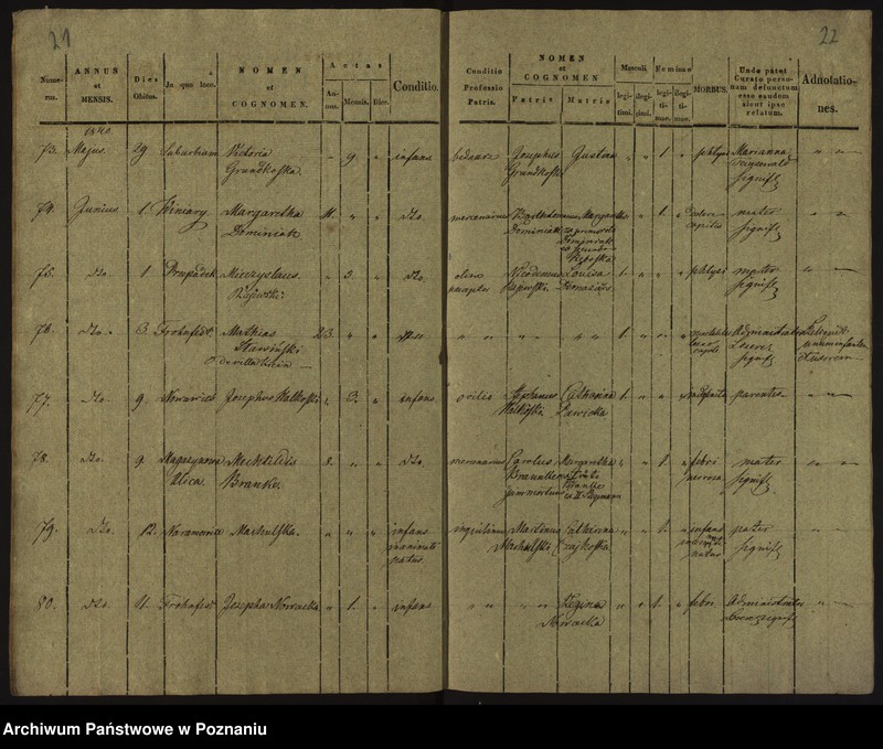 Obraz 14 z jednostki "Księga zgonów"