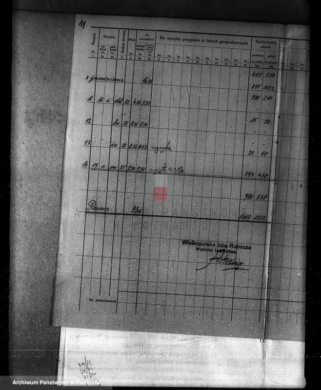 Obraz 15 z jednostki "Plan urządzania gospodarstwa leśnego dla lasu majętności Bonikowo - powiat kościański"