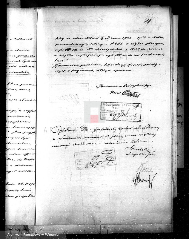 Obraz 14 z jednostki "Nadzór nad gospodarką w lasach majętności Modliszewo powiecie gnieźnieńskim"