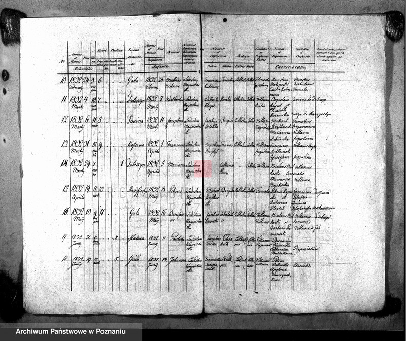 Obraz 3 z jednostki "Liber baptisatorum"