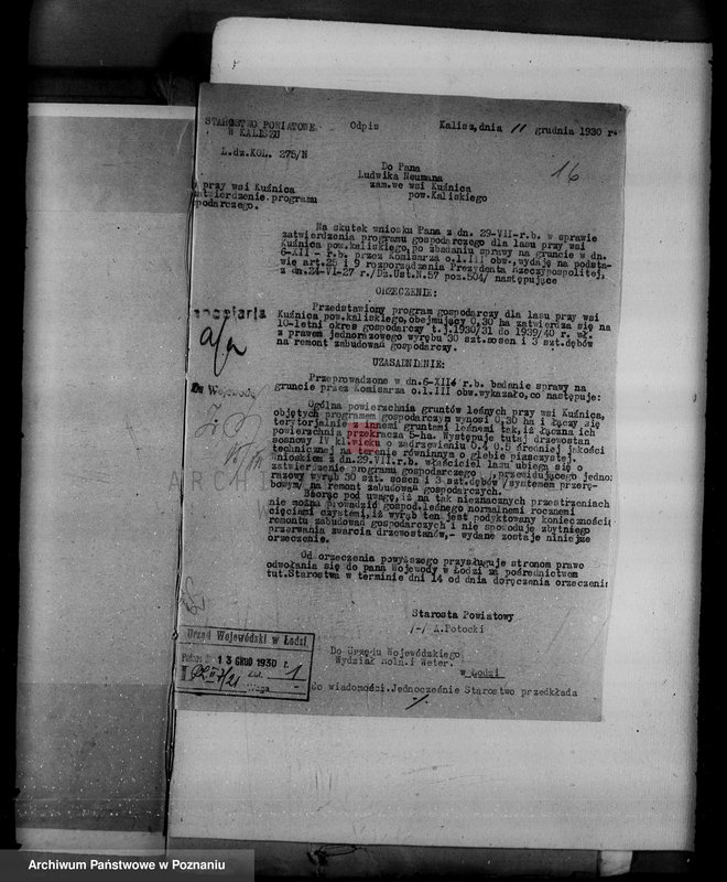 Obraz 20 z jednostki "Gmina Ceków w powiecie kaliskim nadzór nad gospodarką w lasach"