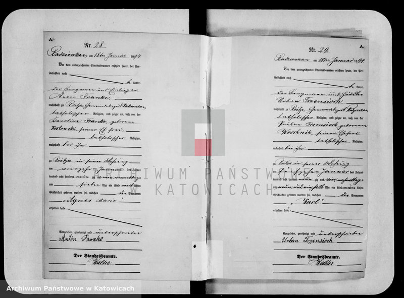 image.from.unit.number "Księga urodzeń za rok 1894 [nr 1-501]"