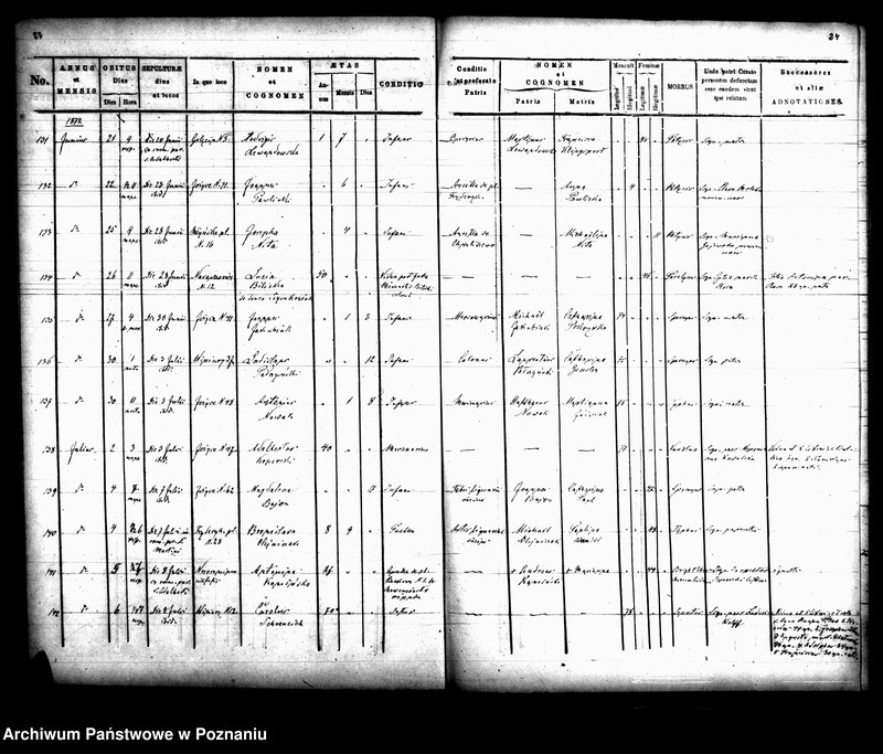 Obraz 14 z jednostki "Księga zgonów"