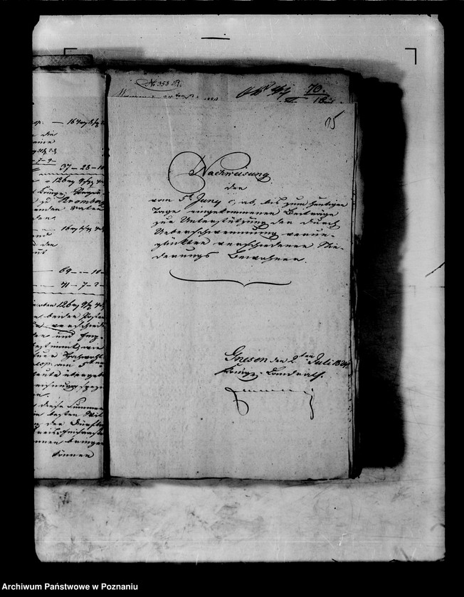 Obraz 19 z jednostki "Die Sammlung milder Beiträge für die durch Ueberschwemmung verunglückten Bewohner der Weichselniederungen."