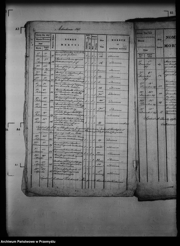 Obraz 11 z jednostki "[Kopie ksiąg metrykalnych parafii Mołoszkowice z filią Leśniowice (dekanat Jaworów)]"