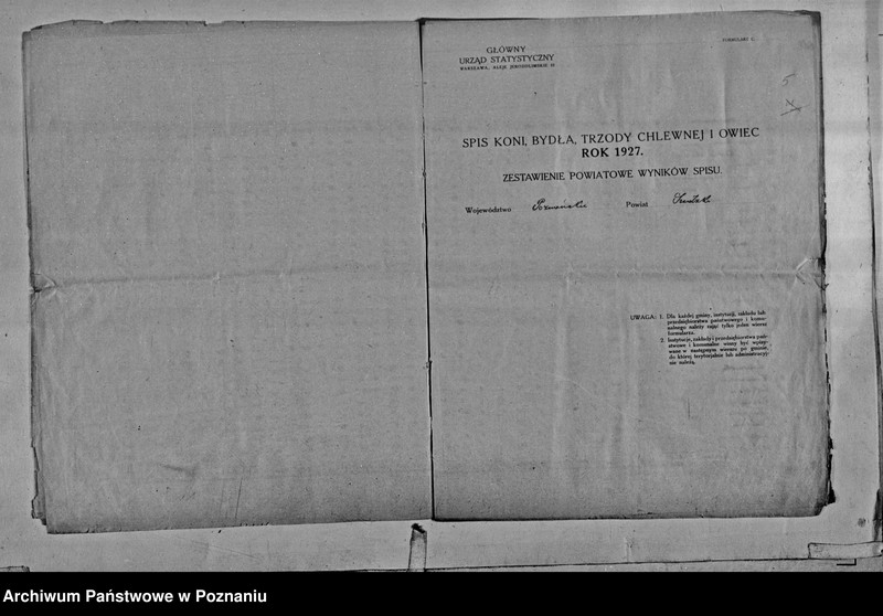 Obraz 8 z jednostki "Spis koni, bydła, trzody chlewnej i owiec - zestawienie z terenu powiatu średzkiego"