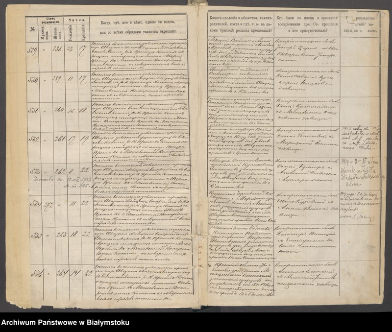 Obraz 13 z jednostki "[Akta urodzeń za lata 1893-1895]"