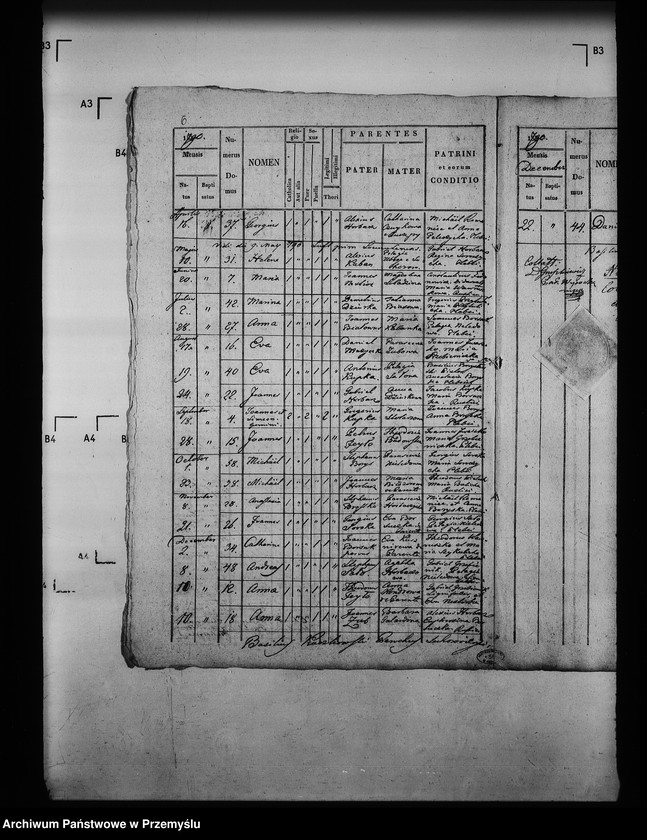 image.from.unit.number "[Kopie ksiąg metrykalnych parafii Surochów z filiami Sobiecin, Koniaczów (dekanat Jarosław)]"