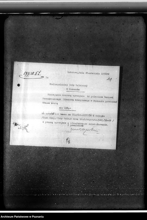 Obraz 15 z jednostki "Majętność leśna Godurowo w powiecie gostyńskim"