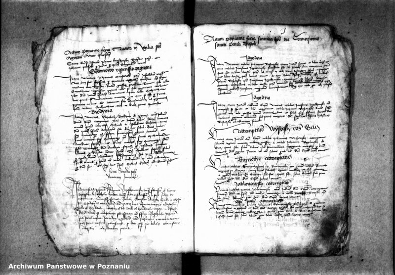 Obraz 7 z jednostki "Inscriptiones, relationes, decreta [protocollon]"