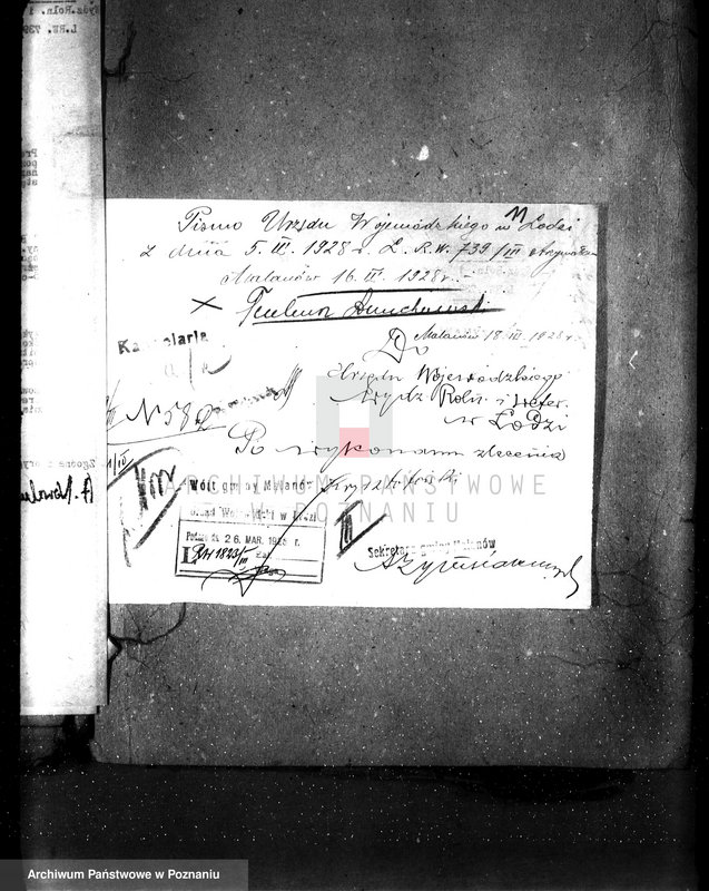 Obraz 18 z jednostki "Uznanie za ochronne powierzchni około 25 ha terenów leśnych pod nazwą,,Bibianna" należących do majątku Malanów powiat turecki"