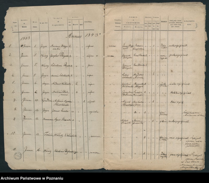 Obraz 4 z jednostki "Księga zgonów"