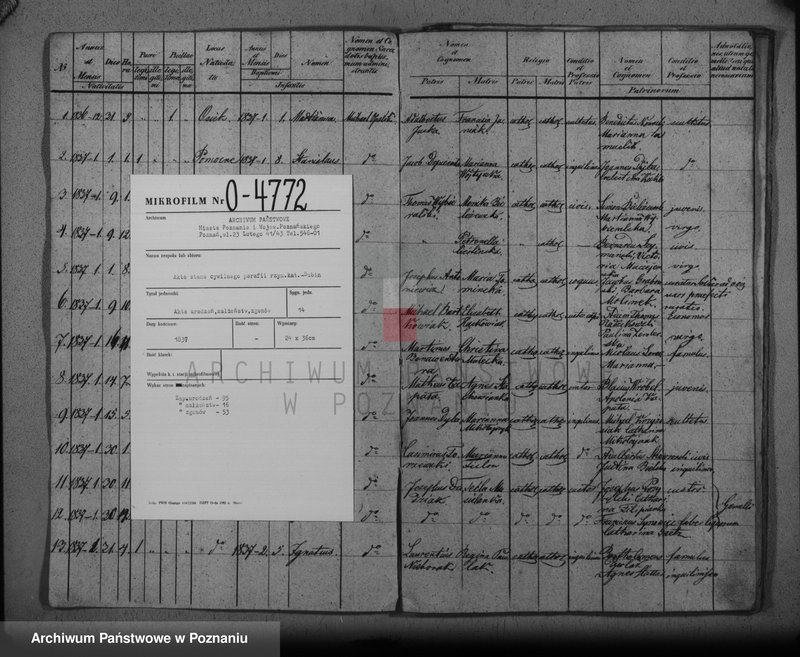 Obraz 3 z jednostki "Duplikat baptisatorum, copulatorum, mortuorum"