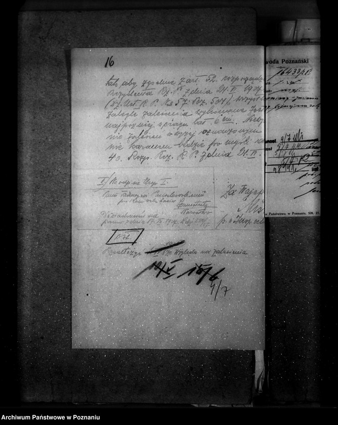 Obraz 20 z jednostki "Majętność leśna Wroniawy powiat wolsztyński"