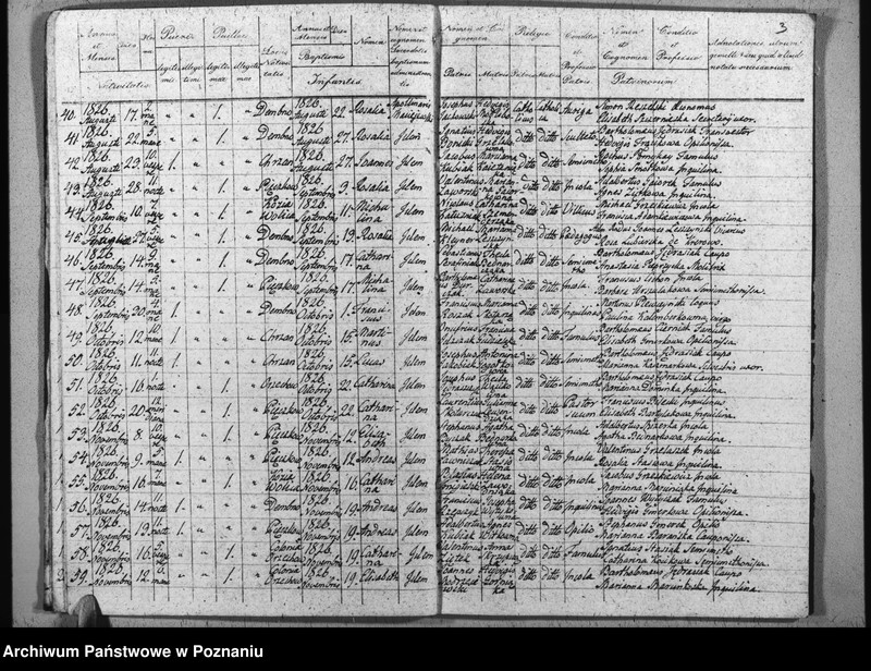 Obraz 7 z jednostki "Duplikat baptisatorum, copulatorum u. mortuorum"